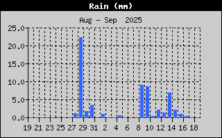 Rain