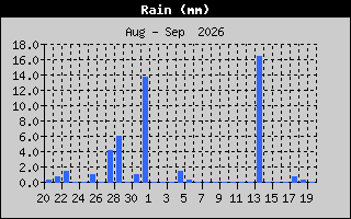 Rain